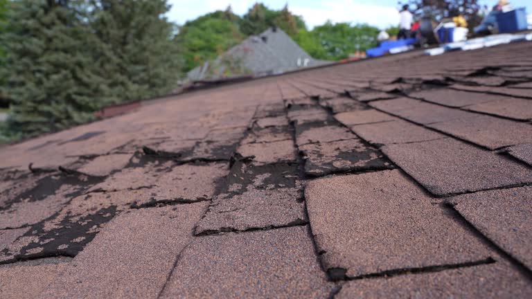 Best Gutter Installation and Repair  in South Point, OH