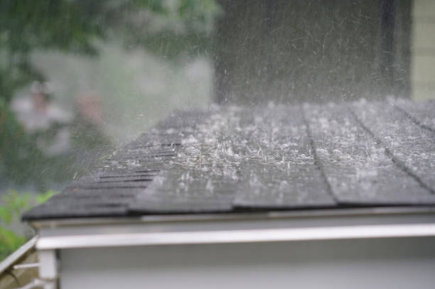 Best Roof Leak Repair  in South Point, OH