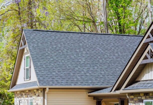 Best Roof Moss and Algae Removal  in South Point, OH